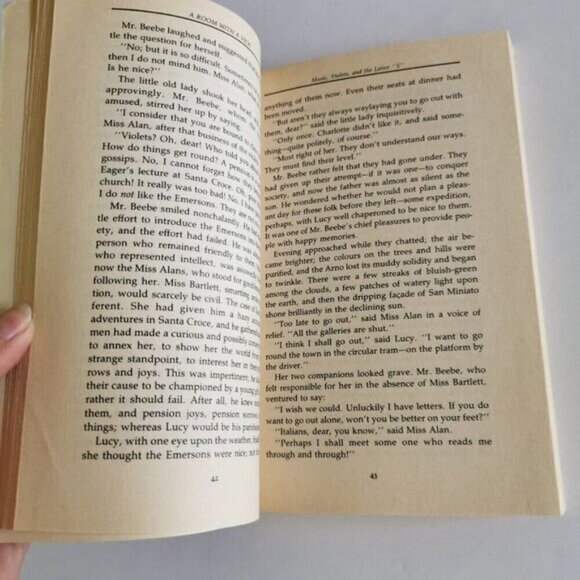 1989 A Room With a View Paperback Book, EM Forster Edwardian England Love Story - Picture 9 of 9